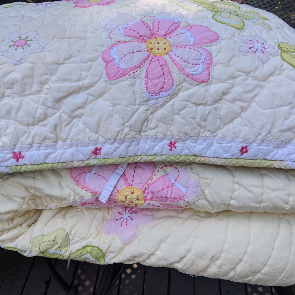 Pottery Barn Kids Daisy Garden twin comforter set